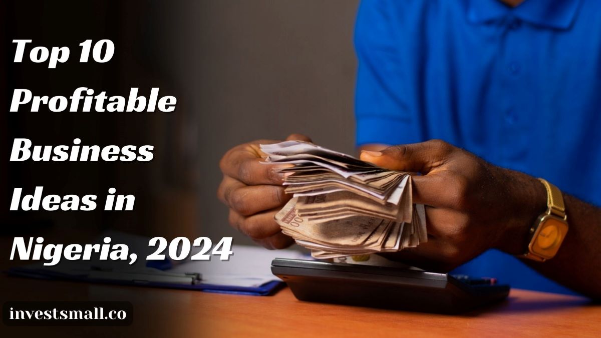 Top 10 Small Profitable Business Ideas To Easily Start In Nigeria top-10-small-profitable-business-ideas-to-easily-start-in-nigeria