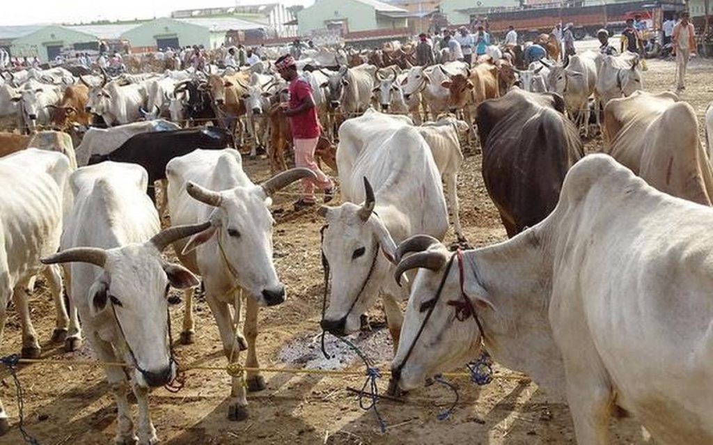 Animal Husbandry business