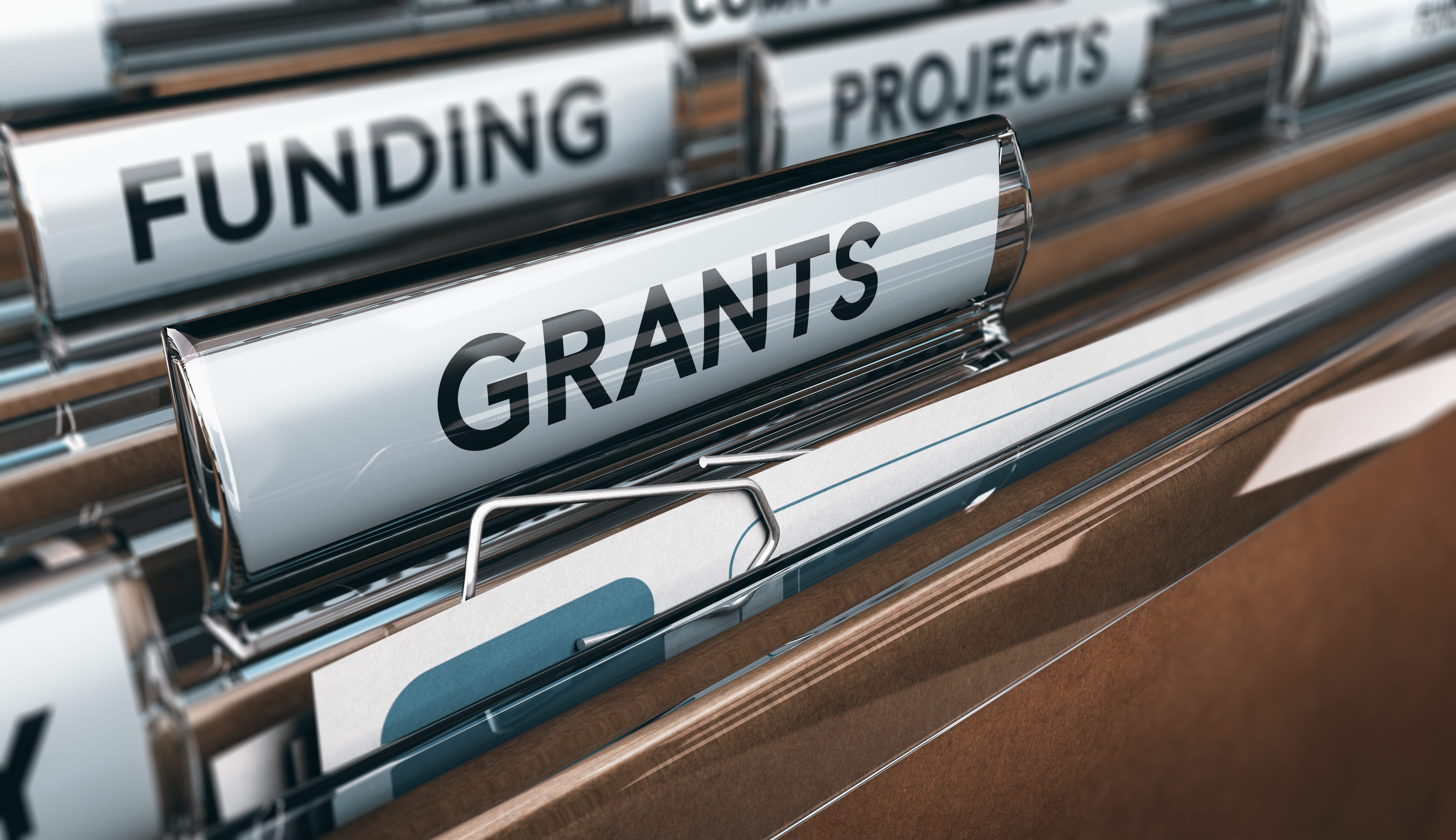 types-of-grants-you-should-know-in-nigeria