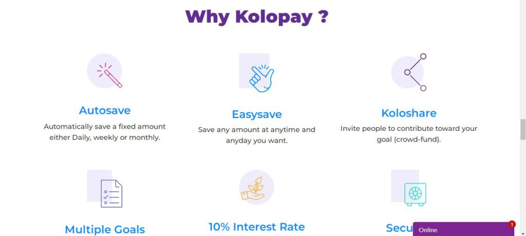 KoloPay - What services do they offer?
