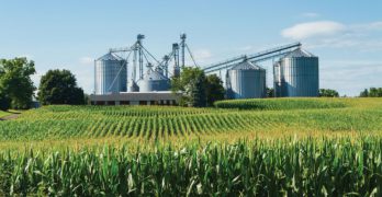Agribusiness in Nigeria – All You Need to Know