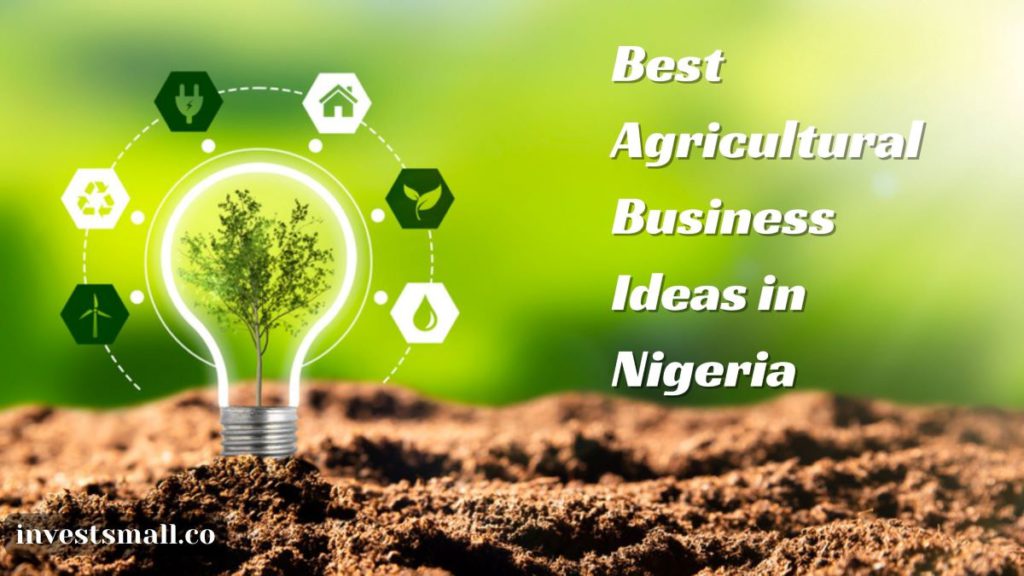 best agricultural business ideas in nigeria